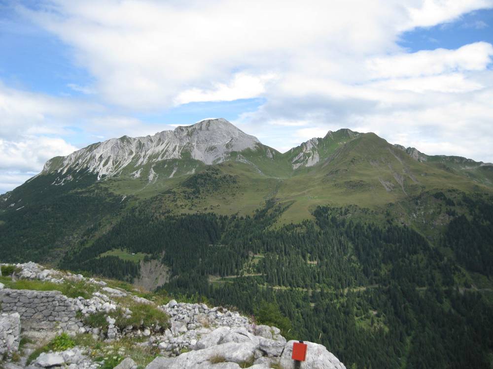 Freikofel 2010