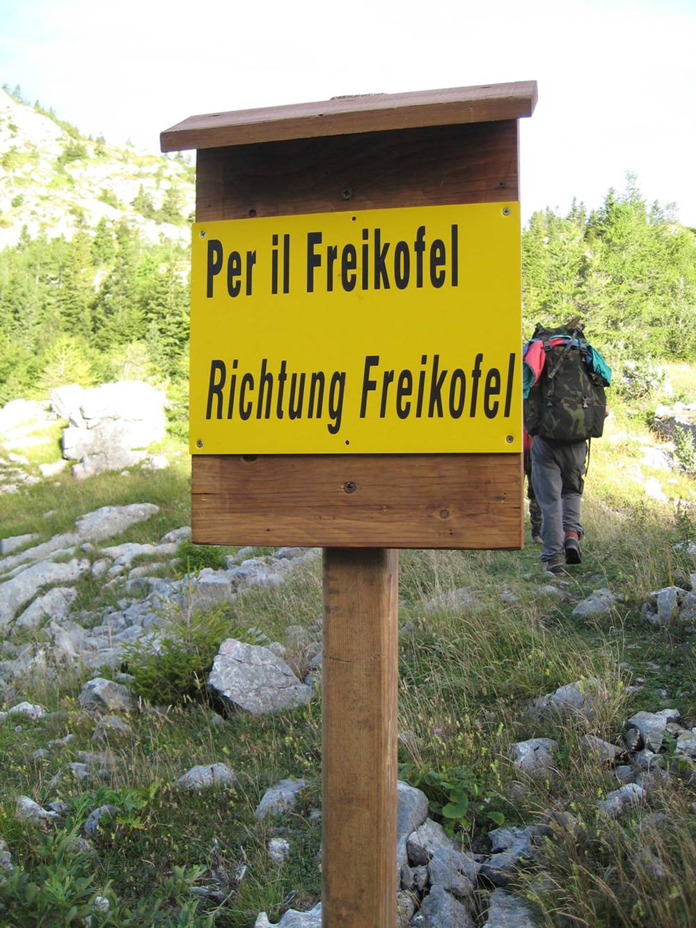 Freikofel 2010